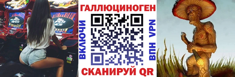 Купить закладки  Устюжна  Псилоцибиновые грибы Psilocybe 